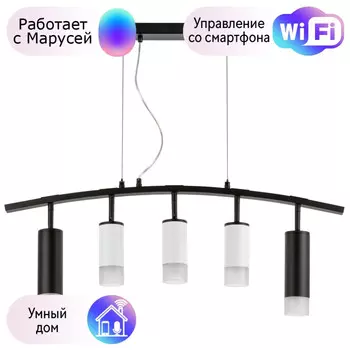 LR7358723631 Подвесной светильник Rullo Lightstar с поддержкой Маруся (комплект из 571735+214436-3+214487-2+202431-5)