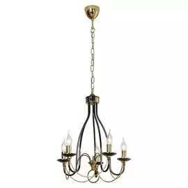 LSA-4613-05 Подвесная люстра Lussole Todi