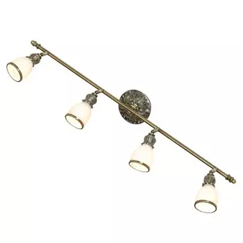 LSL-7309-04 Светильник спот Lussole Furlo