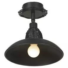 LSN-1077-01 Светильник спот LOFT Ancona