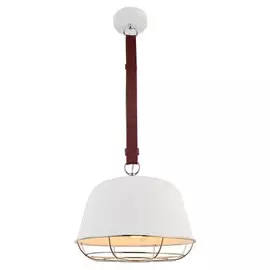 LSP-8043 Подвесной светильник Lussole LOFT