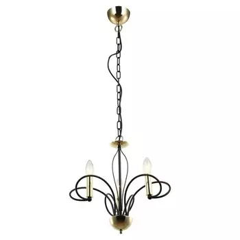 LSP-8193 Подвесная люстра LOFT (Lussole) POWELL