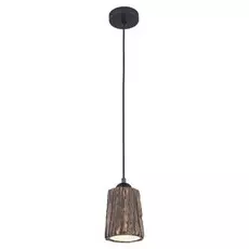 LSP-9862 Светильник подвесной LOFT