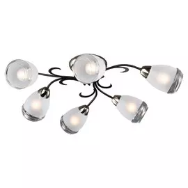 LSP-9952 Потолочная люстра Lussole Lgo