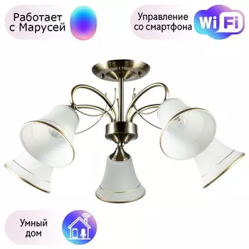 Люстра на штанге Arte lamp Blossom с поддержкой Маруся A2709PL-5AB-М