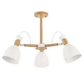 Люстра на штанге Balcamo Evoluce SLE103802-03