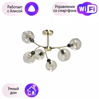 Люстра на штанге De markt Гамбург с поддержкой Алиса 605014106-A