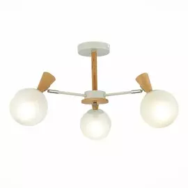 Люстра на штанге Evoluce Catania SLE220702-03