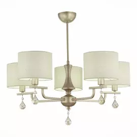 Люстра на штанге Evoluce ELIDA SLE107703-05