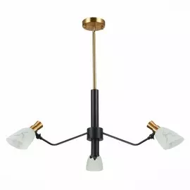 Люстра на штанге Evoluce Lita SLE205403-03