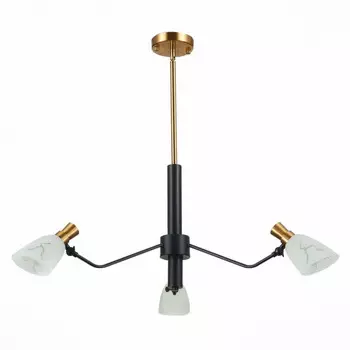 Люстра на штанге Evoluce Lita SLE205403-03