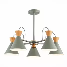 Люстра на штанге Evoluce Modica SLE125112-05