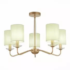 Люстра на штанге Evoluce RITA SLE108002-05