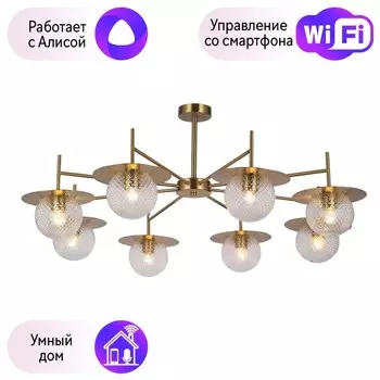 Люстра на штанге F-Promo Roshni с поддержкой Алиса 3049-8P-A