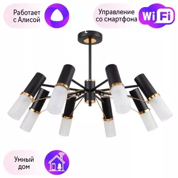 Люстра на штанге F-Promo Viator с поддержкой Алиса 2558-8P-A