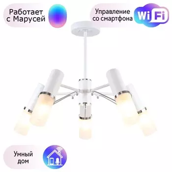 Люстра на штанге F-Promo Viator с поддержкой Маруся 2559-5P-М