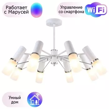 Люстра на штанге F-Promo Viator с поддержкой Маруся 2559-8P-М