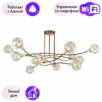 Люстра на штанге Favourite Liberty с поддержкой Алиса 2669-12P-A