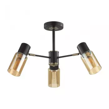 Люстра на штанге Lumion Comfi Ronnie 5644/3C