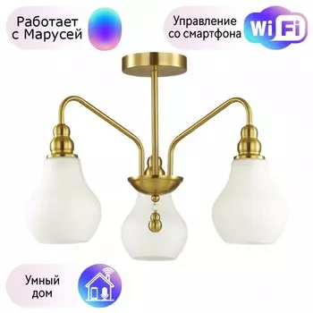 Люстра на штанге Lumion Eleonora с поддержкой Маруся 4562/3C-М