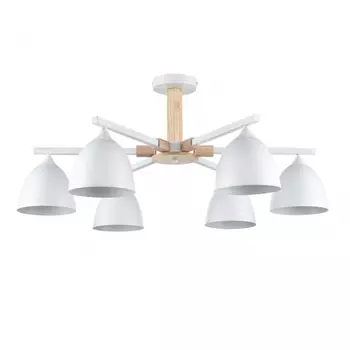 Люстра на штанге Lumion Moderni Colange 8095/6C