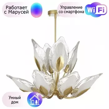 Люстра на штанге Odeon Light Mokarta с поддержкой Маруся 4924/12-М