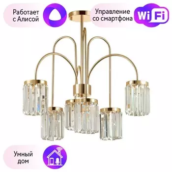 Люстра на штанге Vassa Odeon Light с поддержкой Алиса 4987/6C-A