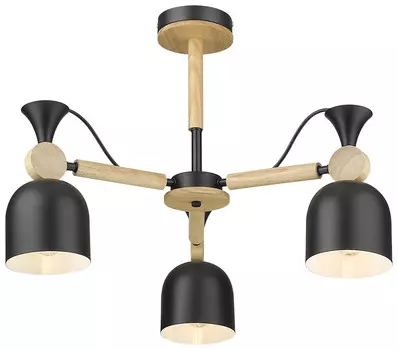 Люстра на штанге Velante 225-023-03