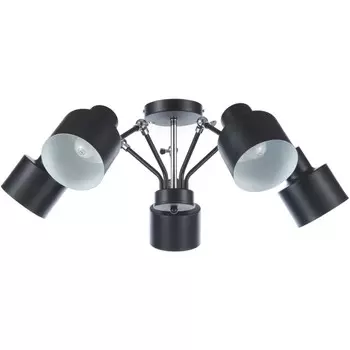 Люстра на штанге Wink MD3488/5B