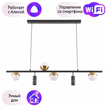 Люстра подвесная CRYSTAL LUX CLT 047 с Алисой CLT 047C6 L1000 BL-GO-A