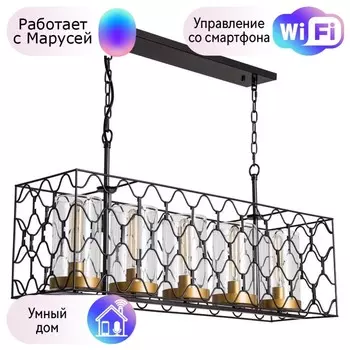 Люстра подвесная Divinare Dunkan с поддержкой Маруся 2021/04 SP-5-М