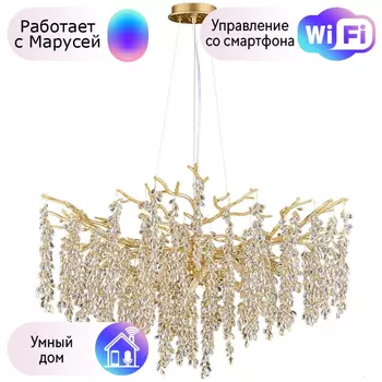 Люстра подвесная DIVINARE SALICE с Марусей 3134/01 SP-10-M