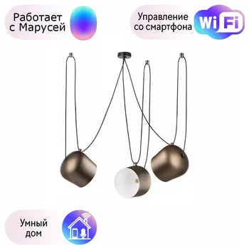 Люстра подвесная Lightstar с поддержкой Маруся Omega 727233