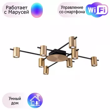 Люстра потолочная APLOYT Elwisia с Марусей APL.633.07.08-M