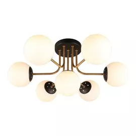 Люстра потолочная Aployt Ewka APL.906.17.07