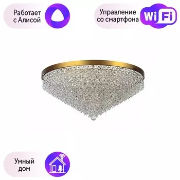 Люстра потолочная Arti Lampadari с поддержкой Алиса Avio E 1.5.80.100 AG-A