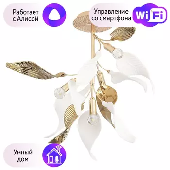 Люстра потолочная CRYSTAL LUX Stefania с Алисой Stefania PL4-A