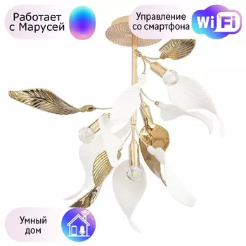 Люстра потолочная CRYSTAL LUX Stefania с Марусей Stefania PL4-M