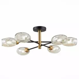 Люстра потолочная Evoluce GLOA SLE155502-06