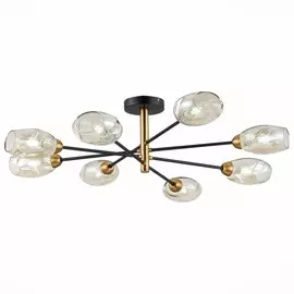 Люстра потолочная Evoluce GLOA SLE155502-08