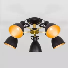 Люстра потолочная Eurosvet Denley 70112/5 черный (a047637)