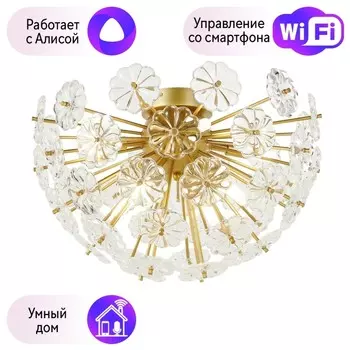 Люстра потолочная Favourite Pienene с поддержкой Алиса 2620-8U-A