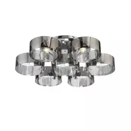 Люстра потолочная Foresta Evoluce SL483.702.07