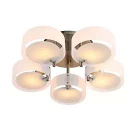 Люстра потолочная Foresta Evoluce SL483.352.05