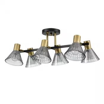 Люстра потолочная Lumion Anriya Moderni 8044/6C