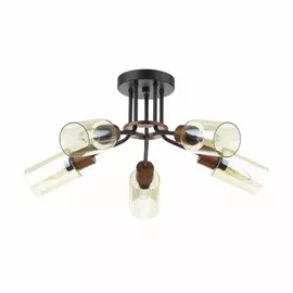 Люстра потолочная Lumion Fern 4492/5C