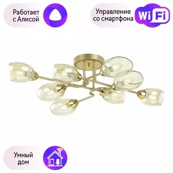 Люстра потолочная Lumion Lacie с поддержкой Алиса 4536/8C-А