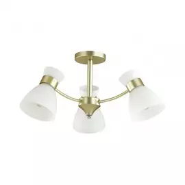 Люстра потолочная Lumion Wilma 4535/3C