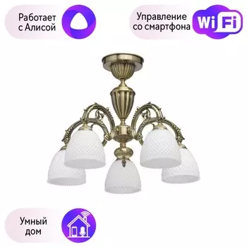 Люстра потолочная MW-Light Фелиция с поддержкой Алиса 114010405-A