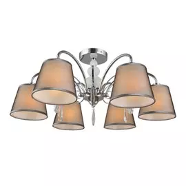 OML-66707-06 Потолочная люстра Omnilux Recco